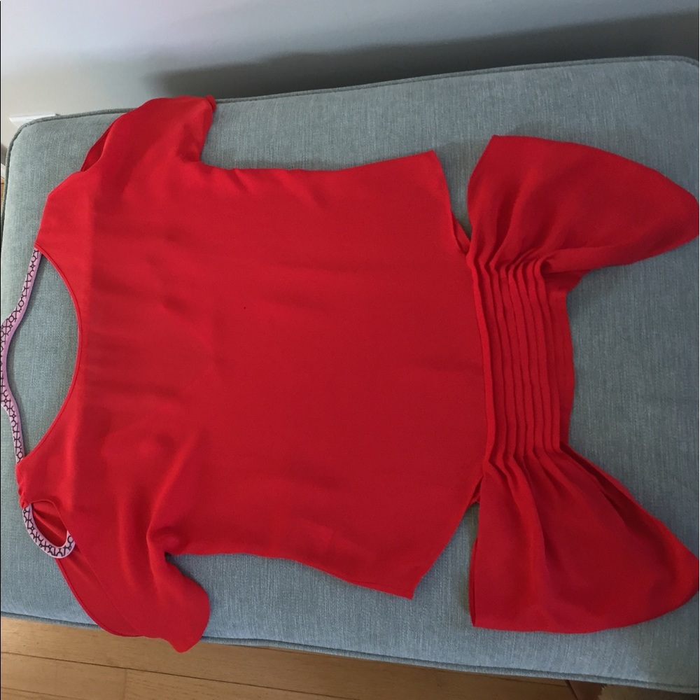 Gorgeous BCBG Max Azria Top